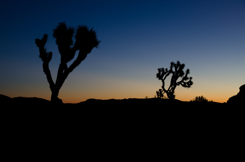 Sunrise over Joshua Tree National Park