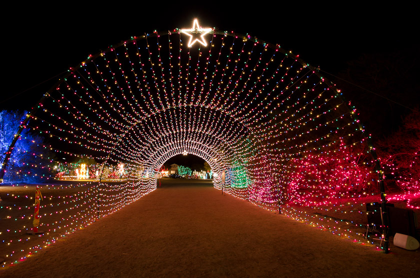 Wild Lights, The Living Desert Mike Chowla's Photo Blog