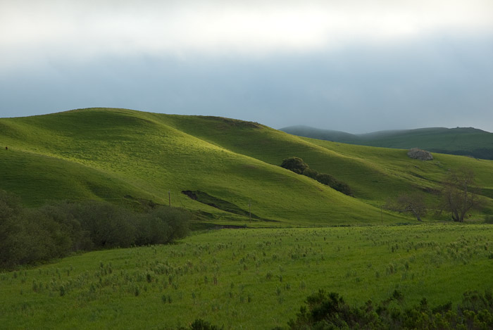 Along Hwy 46