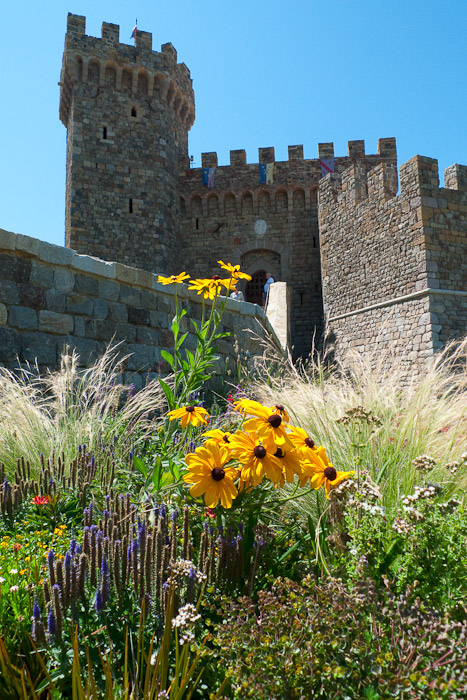 Castello Di Amorosa
