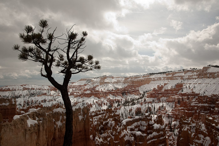 Bryce Canyon National Park