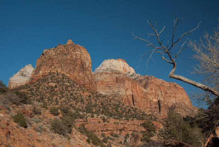 Zion National Park