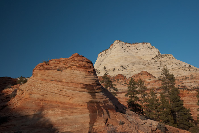 Zion Plateau, Zion National Park