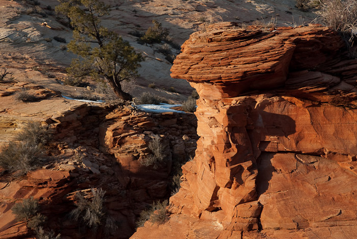 Zion Plateau, Zion National Park