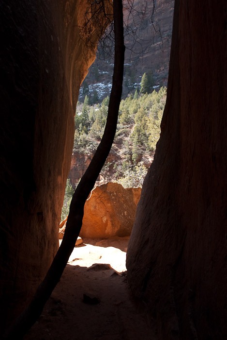 Slot Canyon Near Lower Emerald Pool, Zion National Park