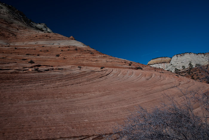 Zion Plateau, Zion National Park