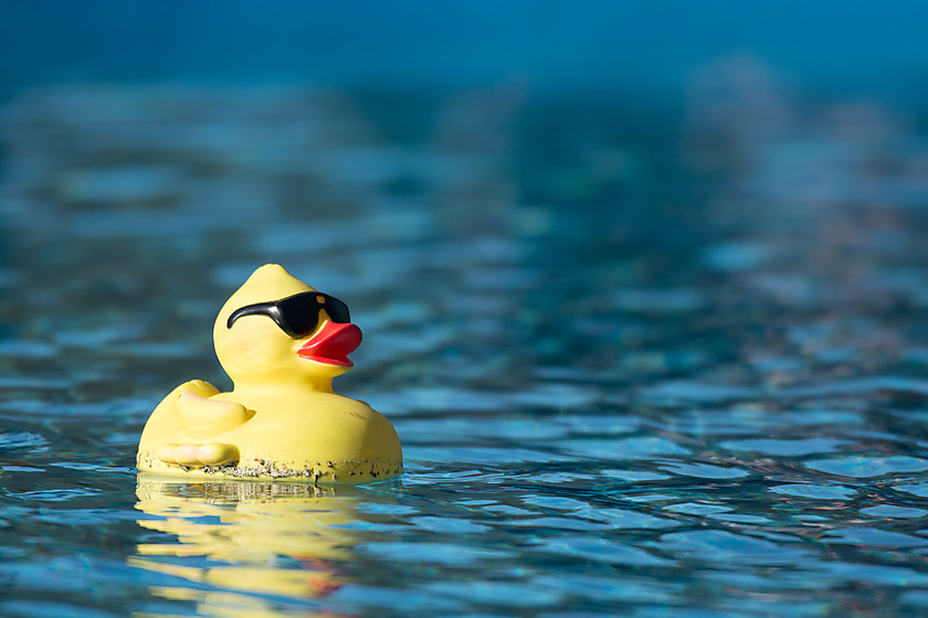 Rubber Duck