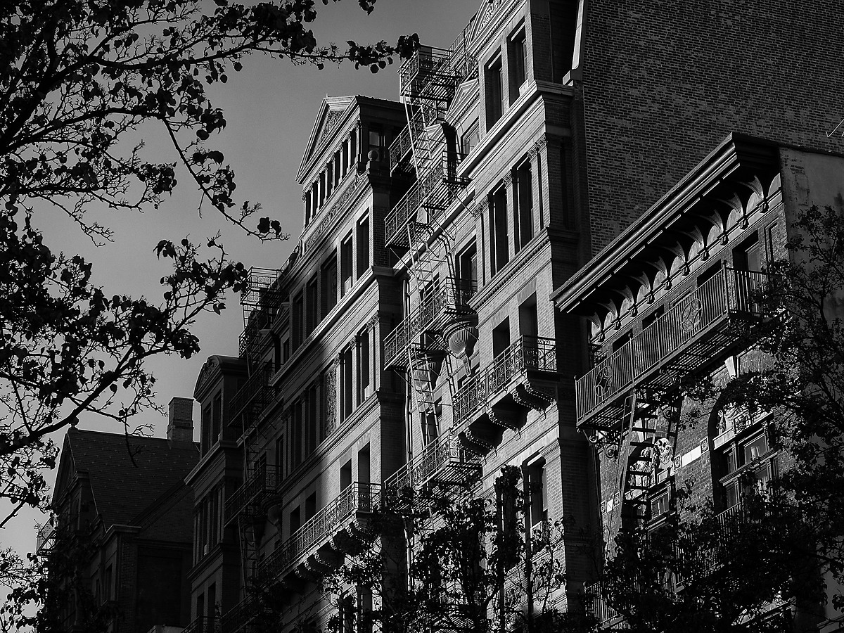 Late Afternoon Light on Brick Building in Brooklyn Heights