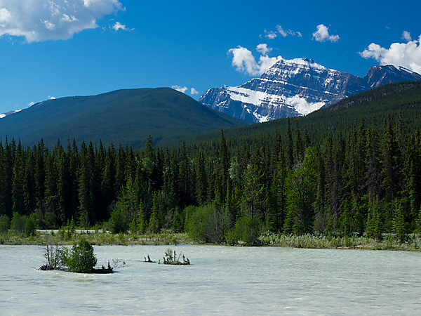 View of Mt Edith Cavell across the Athabasca River