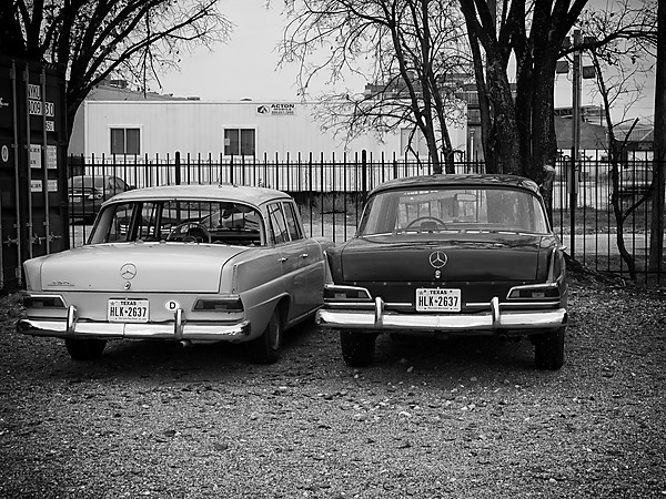 Two Classic Mercedes