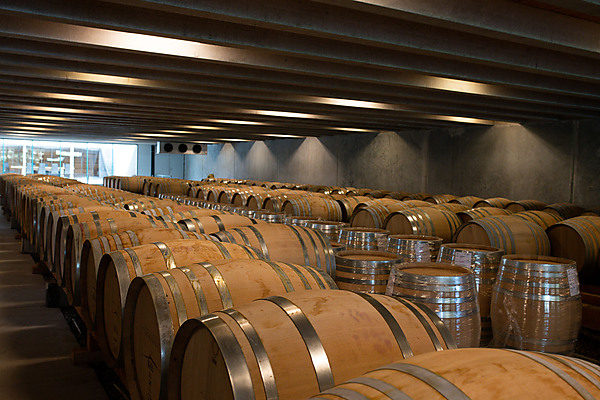 Barrel Room, Peregrine Wines