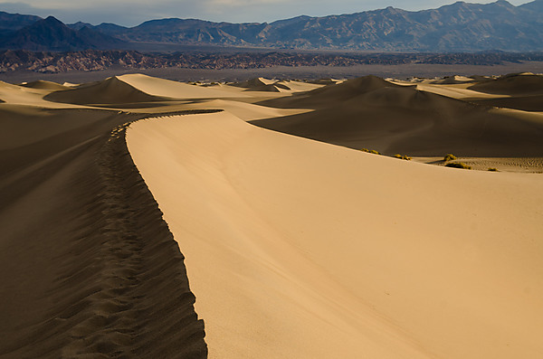 Mesquite Sand Dunes