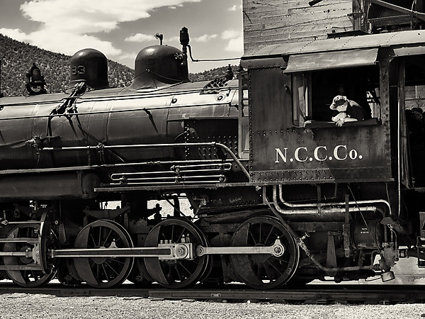 Train Engineer Moving Engine 93