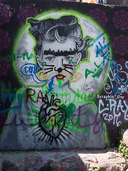 Graffiti Cat Woman