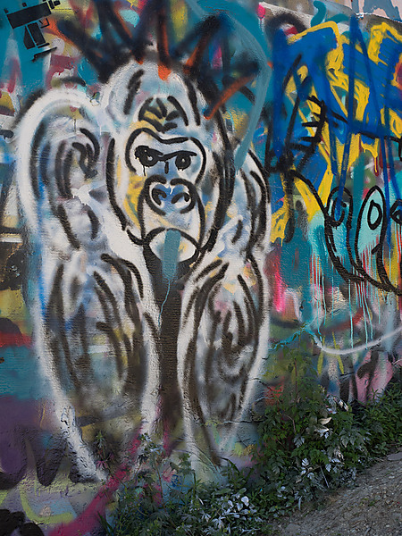 Graffiti Gorilla