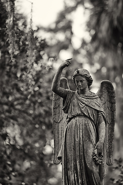 Bonaventure Cemetery