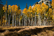 Eastern Sierra - October 2017