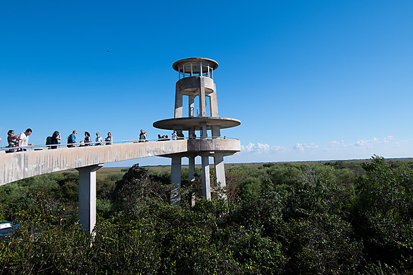 Observation Tower