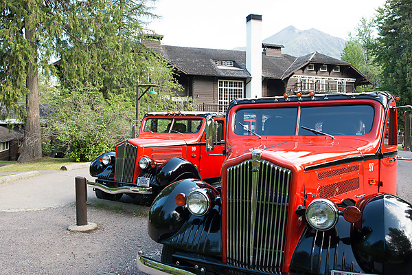 Red Buses