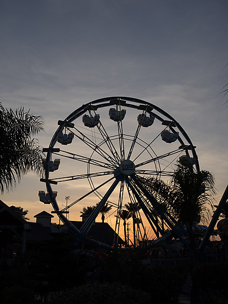 Ferris Wheel