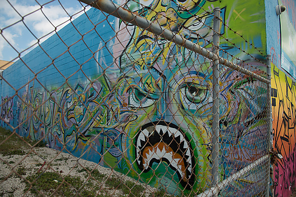 Wynwood Walls