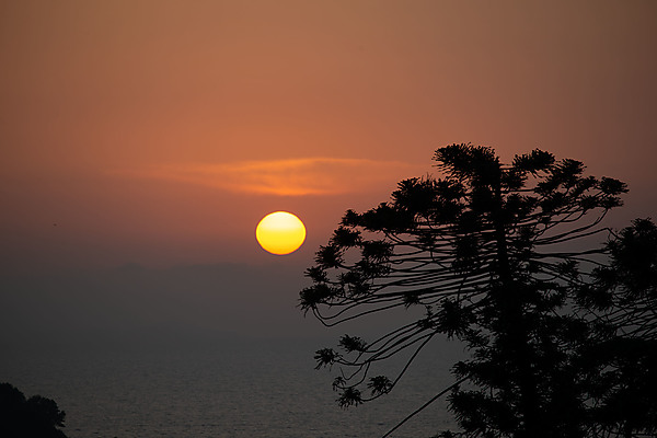 Sorrento Sunset