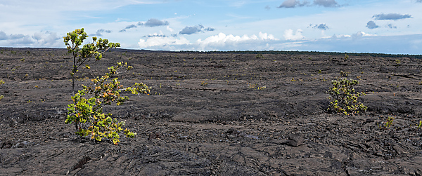 Volcanos National Park