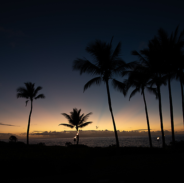 Kona Coast Sunset