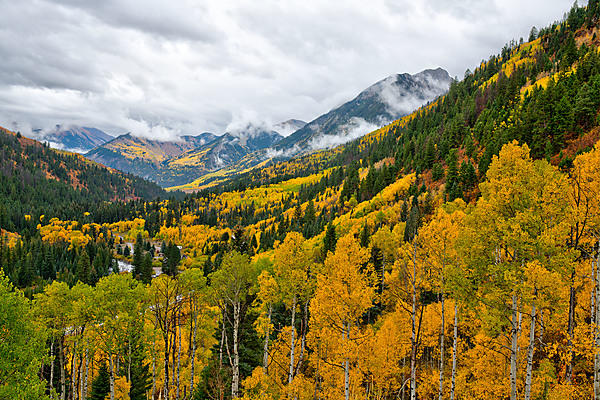 Just Below McClure Pass