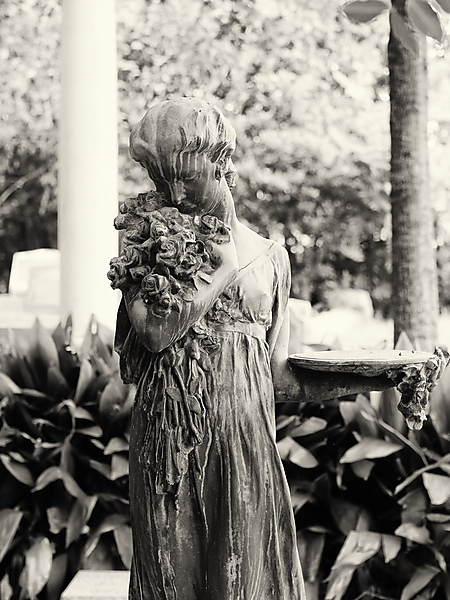 Sharp Family Plot