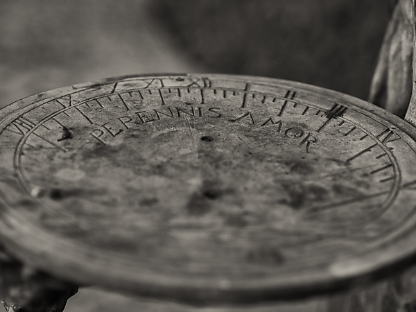 Perennis Amor Sundial, Sharp Family Plot