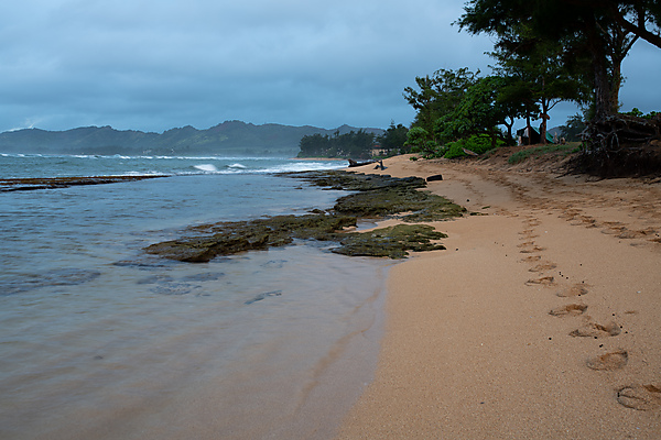 Coconut Beach. Early Morning