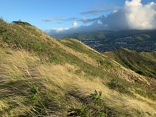 View of Honolulu