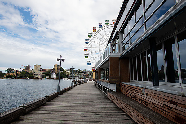 Luna Park Ferris Wheel