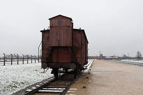 Rail wagon used to carry victims to Birkenau