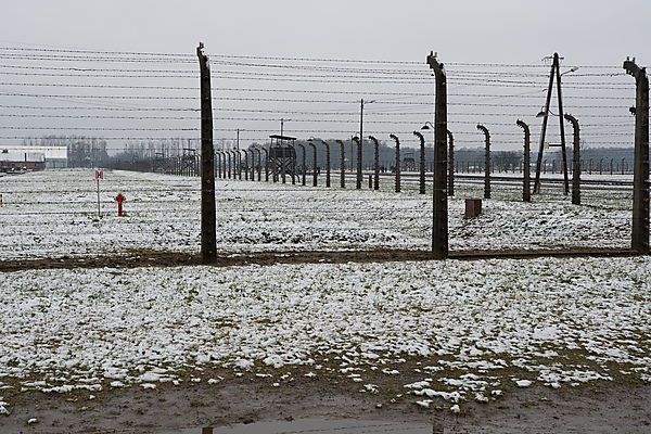 Birkenau