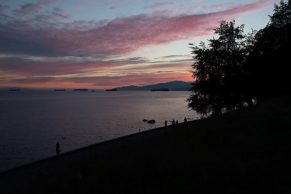 Stanley Park Sunset