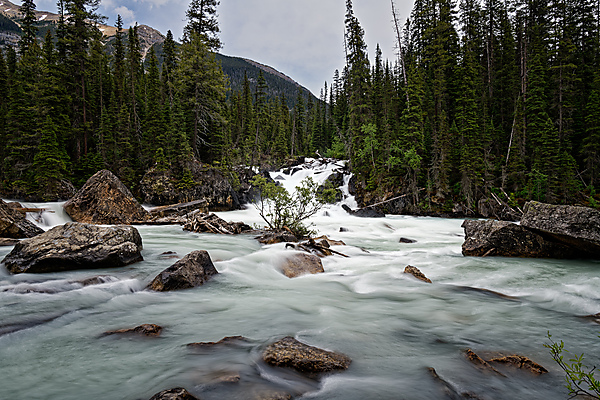 Confluence of Yoho and Kicking Horse RIver