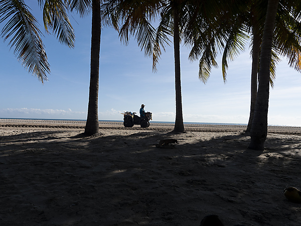 Crandon Park.