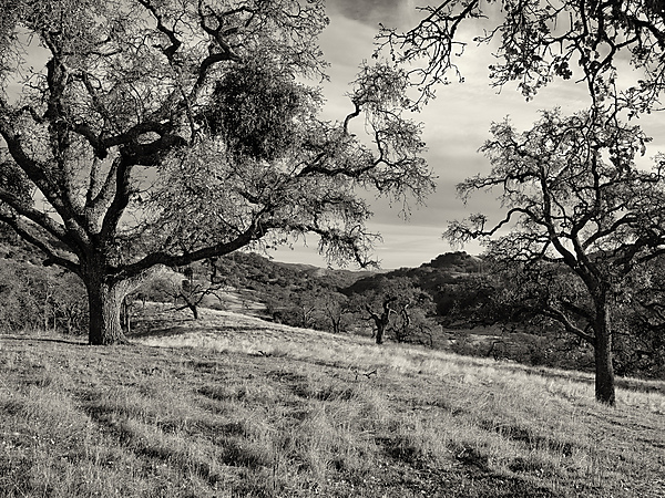 Joseph D Grant County Park