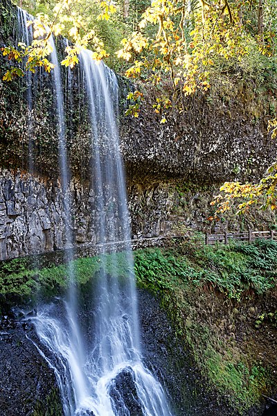 Silver Falls.State Park