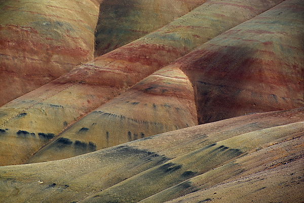 Painted Hills Unit