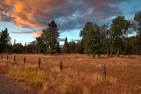 Along Oregon Hwy 62