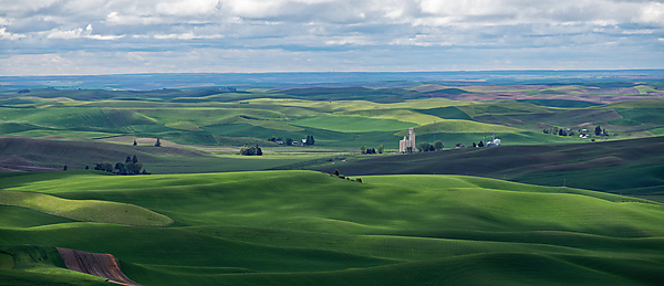 View From Steptoe Butte