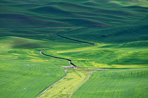 View From Steptoe Butte