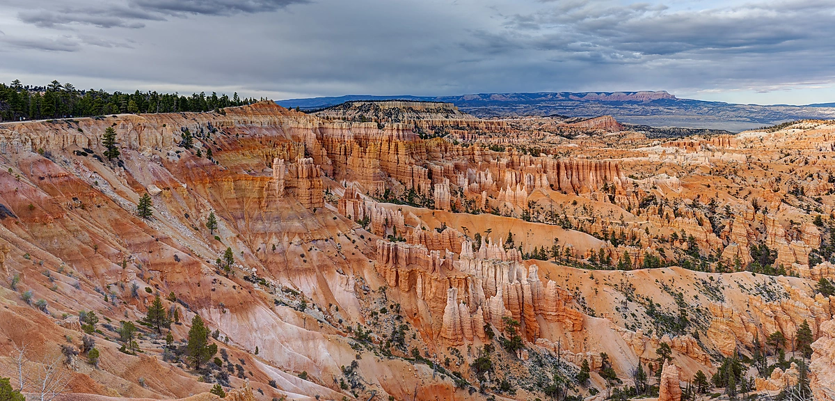 A broad view across Bryce Canyon filled with orange, pink, and cream hoodoos beneath a dramatic cloudy sky, with scattered pine trees along the slopes.