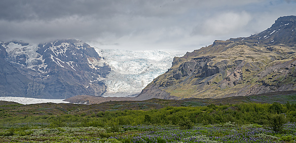 Tongue of Skaftafellsjökull Glacier