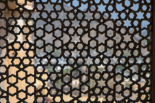 Screened Window