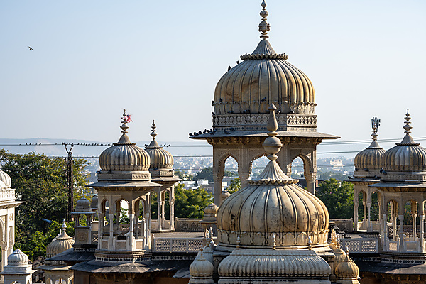 Royal Cenotaphs