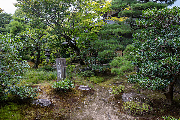 Tenryu-ji Temple